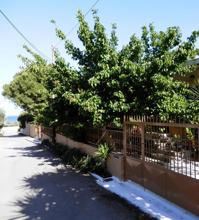 Villa Jordi Artemida  Exterior foto