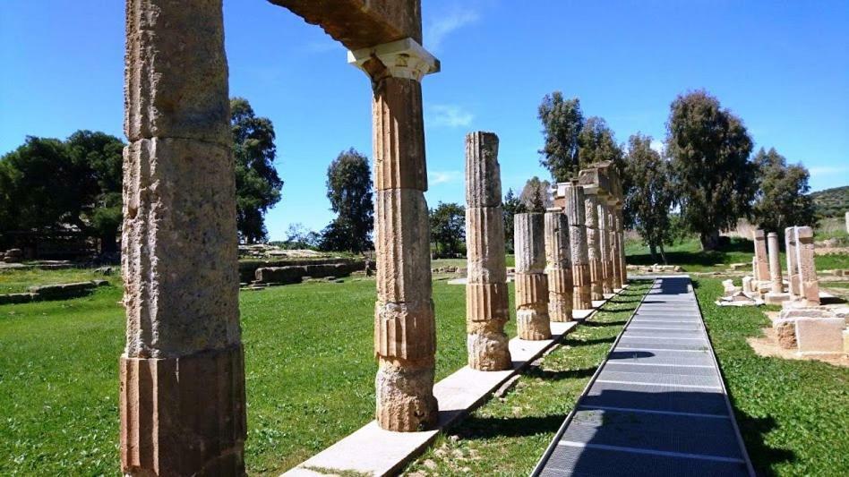 Villa Jordi Artemida  Exterior foto